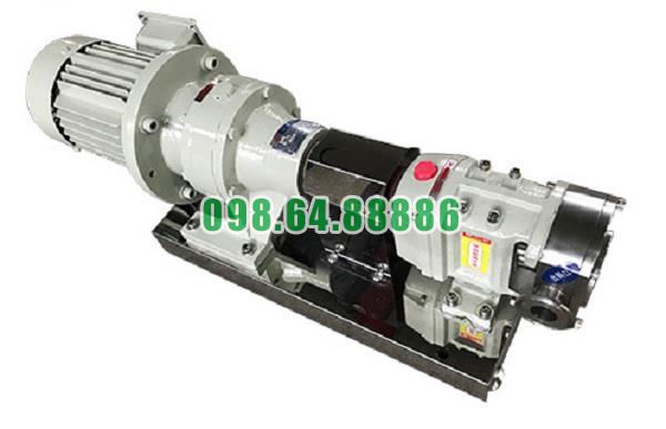 Máy bơm lobe 3RP-20 lưu lượng 9 m3/h tốc độ quay 750 vòng/phút công suất 2.2kW